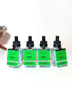 SNOWBALL FIGHT Wallflowers